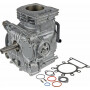 Shortblock BRIGGS ET STRATTON 592056