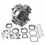 Shortblock BRIGGS ET STRATTON 496241