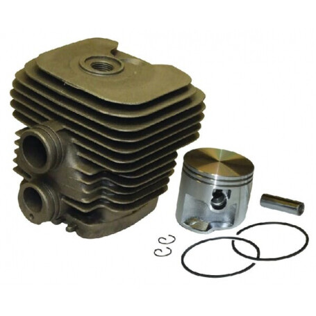 Cylindre complet GOPART 42380201202GP