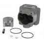 Cylindre complet GOPART 42230201200GP