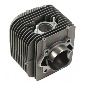 Cylindre BRIGGS ET STRATTON 791356