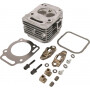 Culasse BRIGGS ET STRATTON 809201