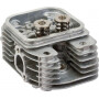 Culasse BRIGGS ET STRATTON 809200WM