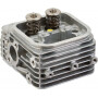 Culasse BRIGGS ET STRATTON 809200WM