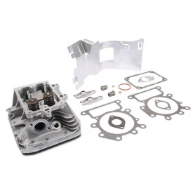 Culasse BRIGGS ET STRATTON 796026