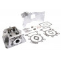 Culasse BRIGGS ET STRATTON 796026