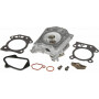 Culasse BRIGGS ET STRATTON 597561