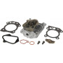 Culasse BRIGGS ET STRATTON 597561
