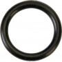 Bague AGRIA AGW18029