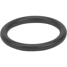 Bague AGRIA AGW02153