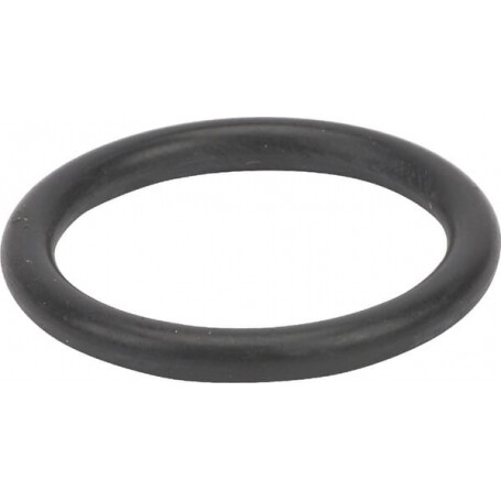 Bague AGRIA AGW02153