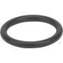 Bague AGRIA AGW02153