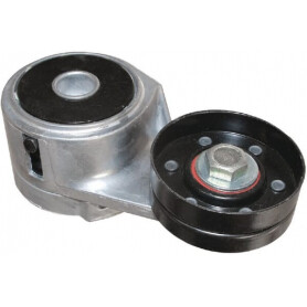 Tendeur de courroie VAPORMATIC VPE6301