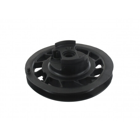Poulie et ressort BRIGGS ET STRATTON 499901