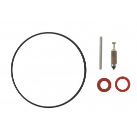 Kit de carburateur CASTELGARDEN - GGP 118550442/0