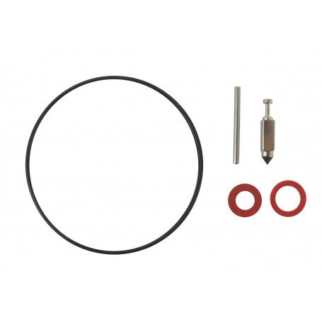 Kit de carburateur CASTELGARDEN - GGP 118550442/0
