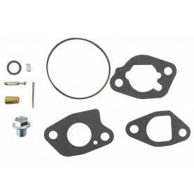 Kit de carburateur BRIGGS ET STRATTON 591770