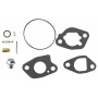 Kit de carburateur BRIGGS ET STRATTON 591770