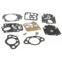 Kit de carburateur GOPART RK33HKGP