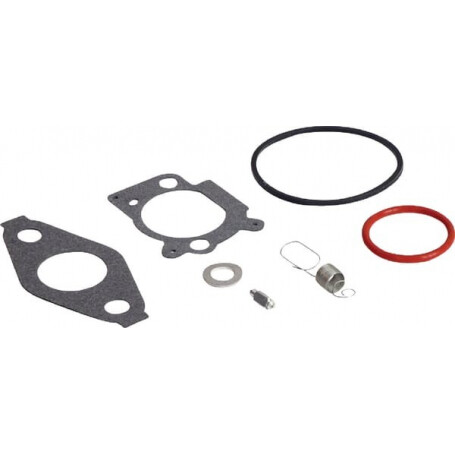 Kit révision carburateur BRIGGS ET STRATTON 592483