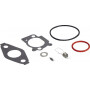 Kit révision carburateur BRIGGS ET STRATTON 592483