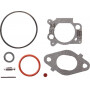 Kit de réparation carburateur BRIGGS ET STRATTON 796612