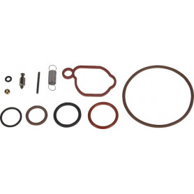 Kit de réparation carburateur BRIGGS ET STRATTON 590589