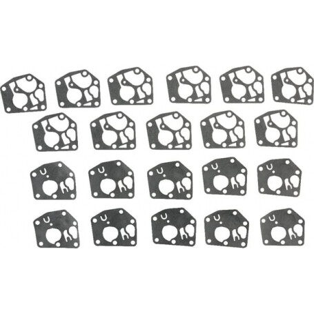 Kit de 10 membranes + joints - BRIGGS ET STRATTON 4251WM