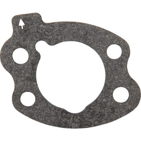 Joint de filtre à air briggs BRIGGS ET STRATTON 844931