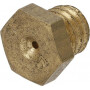 Buse principale AGRIA AGW30330