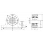 Palier SKF SYNT60LSKF