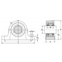 Palier SKF SYNT60FSKF