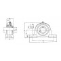 Palier complet TIMKEN UCP307