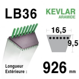 Courroie lb36 - 16,5 mm x 926 mm