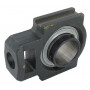 Corps de palier INA/FFAG UCT211