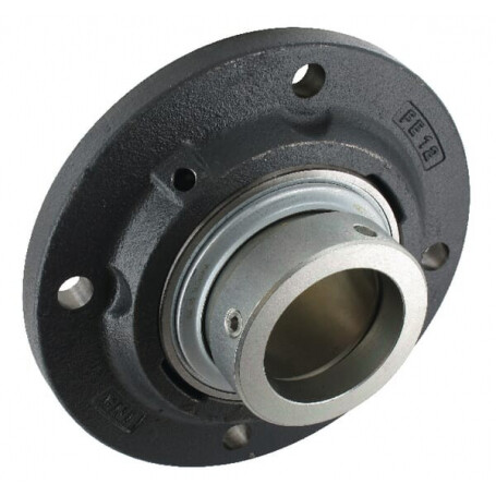 Corps de palier INA/FFAG RFE60