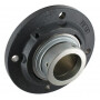 Corps de palier INA/FFAG RFE60