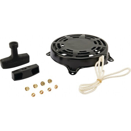 Lanceur BRIGGS ET STRATTON 697743