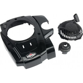 Lanceur BRIGGS ET STRATTON 595355