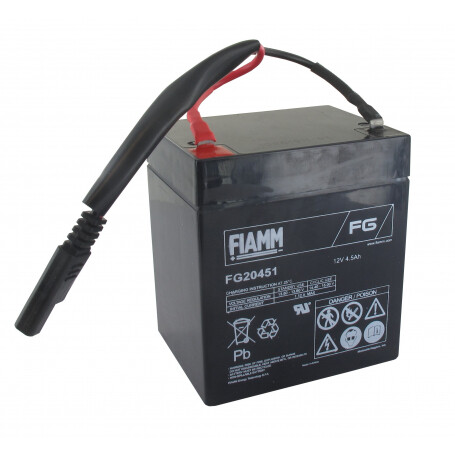 Batterie 12v 4,5a CASTELGARDEN - GGP 118120064/0