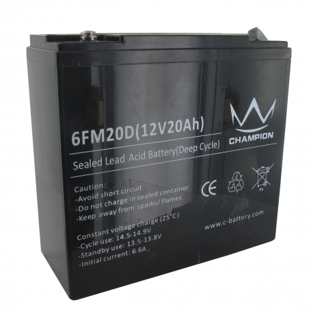 Batterie 12v 20ah MTD BAT0006A