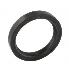 Joint spi GOPART 195503M1GP