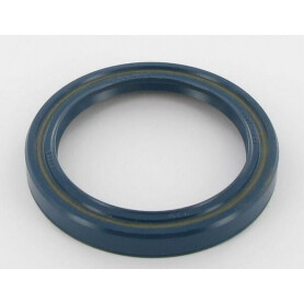 Joint spi MASCHIO F03010305R