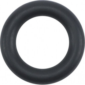 Joint torique BRIGGS ET STRATTON 841653