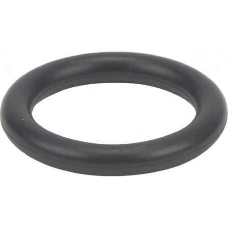 Joint torique BRIGGS ET STRATTON 699725