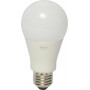 Ampoule LED OSRAM SMBTA60D