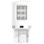 Ampoule LED PHILIPS GL11066XURX2