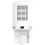 Ampoule LED PHILIPS GL11066ULRX2
