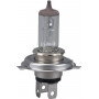 Ampoule ETESIA ET30638