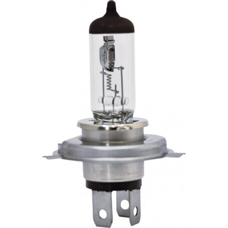 Ampoule UNIVERSEL B2446